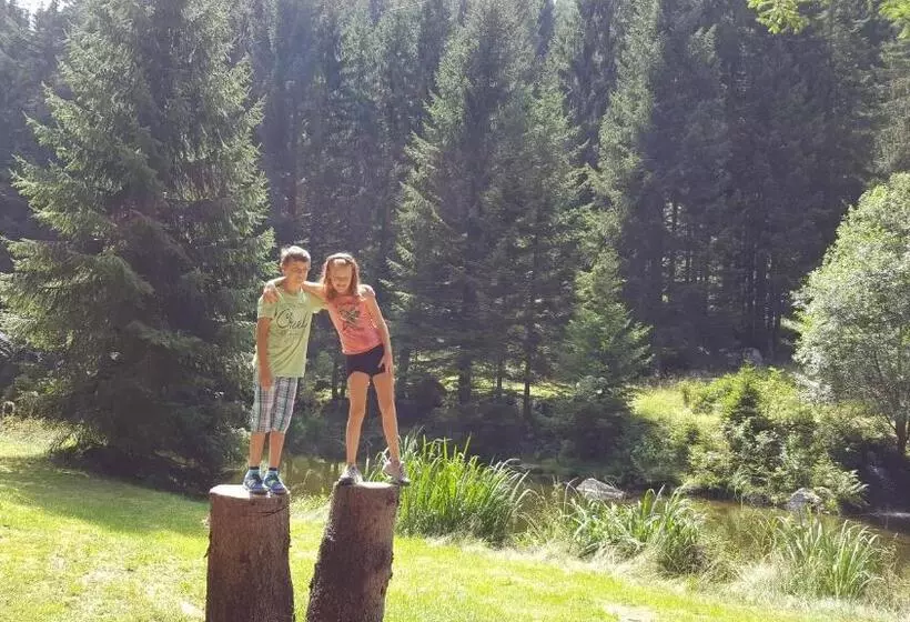 פנסיון Gasthof Thurnerhof