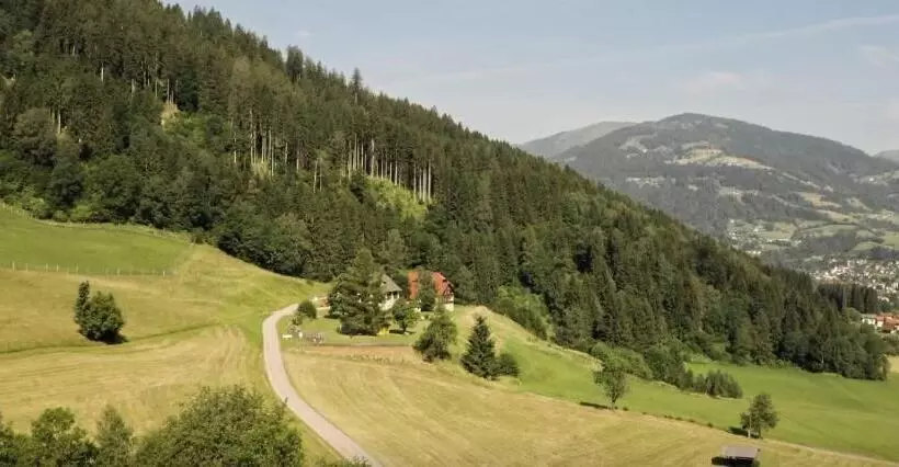 פנסיון Gasthof Thurnerhof