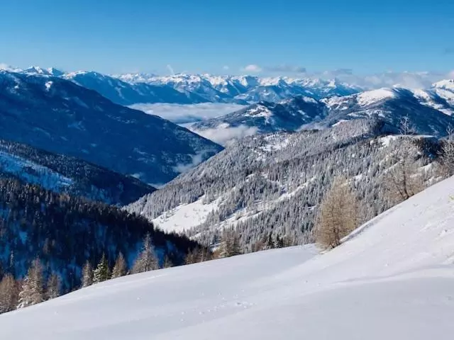 פנסיון Gasthof Thurnerhof