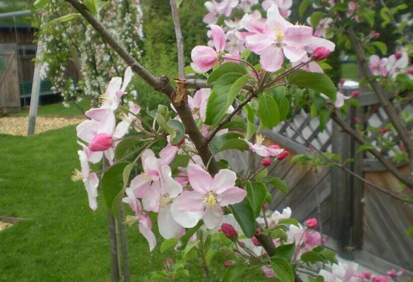 Smaragdhotel Tauernblick