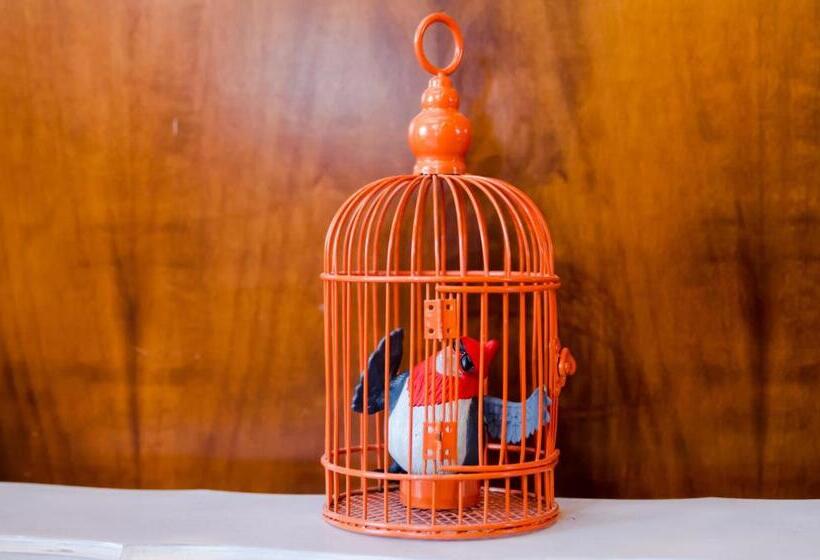 فندق Albergo Villa Gaia