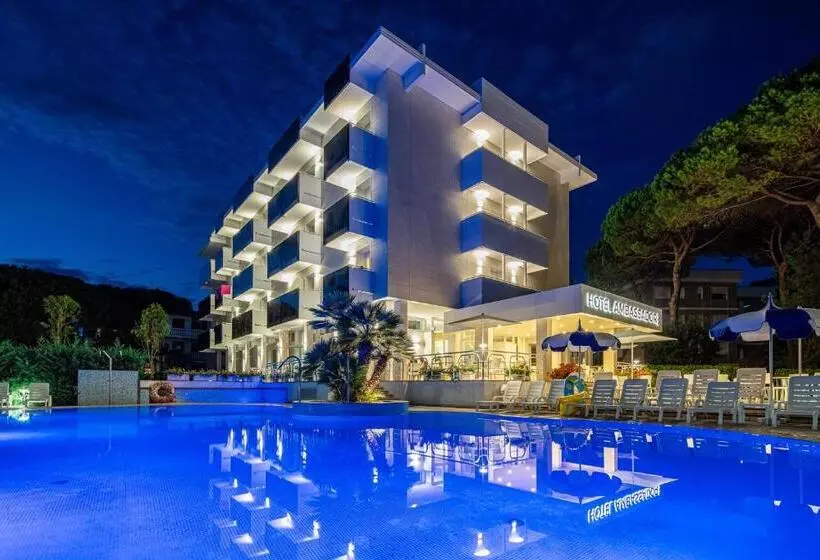 هتل Ambassador Meuble