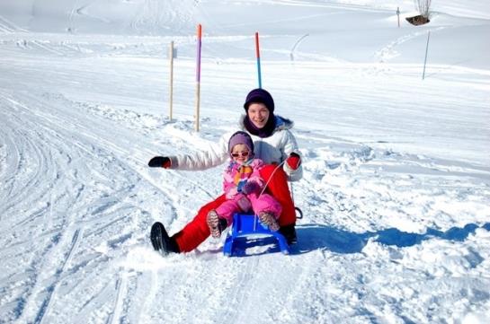 Bauernhof Bio-reiterhof