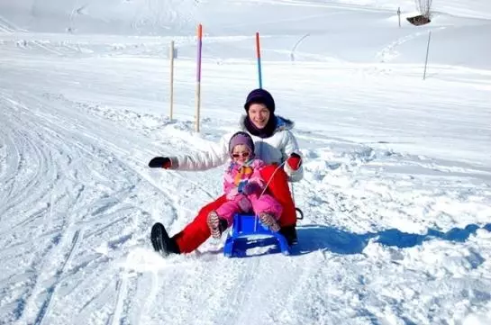 Bauernhof Bio-reiterhof