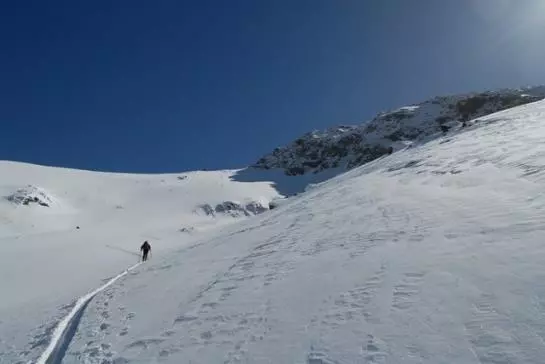 Bauernhof Bio-reiterhof