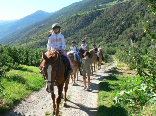 Bauernhof Bio-reiterhof