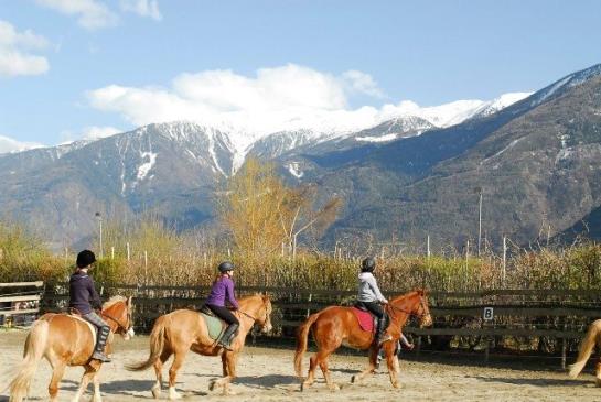 Bauernhof Bio-reiterhof