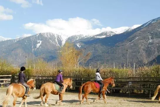 Bauernhof Bio-reiterhof