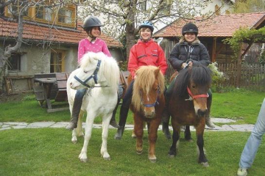 Bauernhof Bio-reiterhof