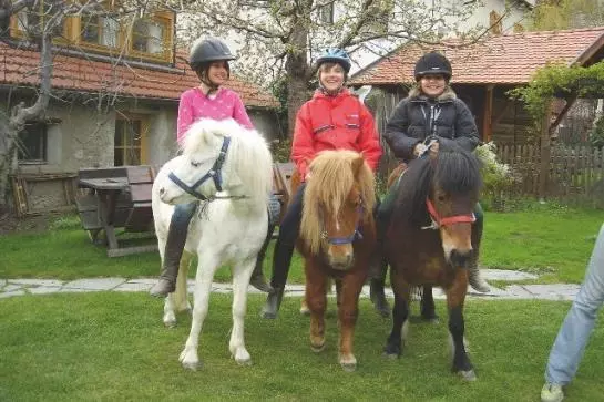 Bauernhof Bio-reiterhof