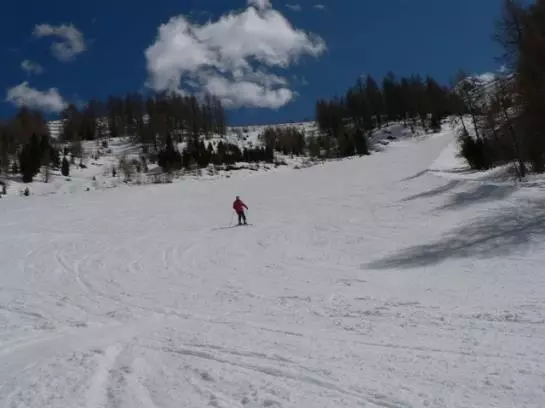 Bauernhof Bio-reiterhof