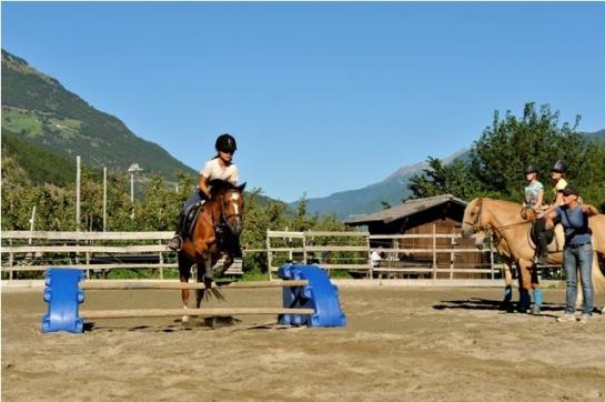 Bauernhof Bio-reiterhof