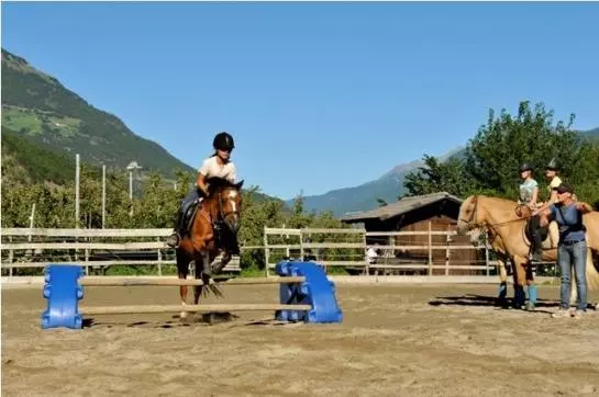 Bauernhof Bio-reiterhof