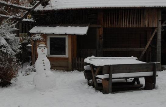 Bauernhof Bio-reiterhof