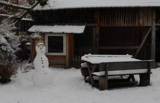 Bauernhof Bio-reiterhof