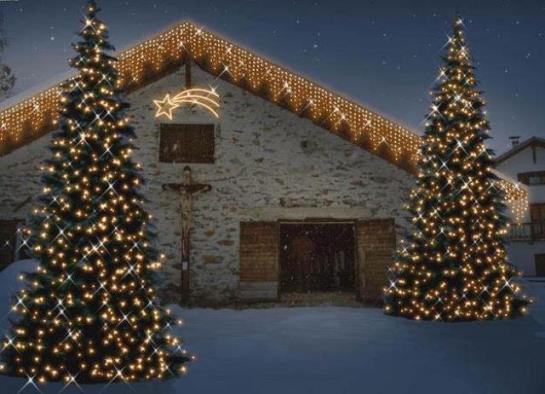 Bauernhof Bio-reiterhof