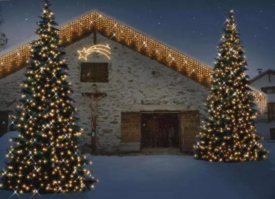 Bauernhof Bio-reiterhof