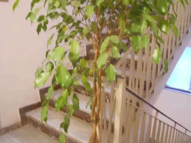 Hotelli Catania Crossing B&b  Rooms & Comforts