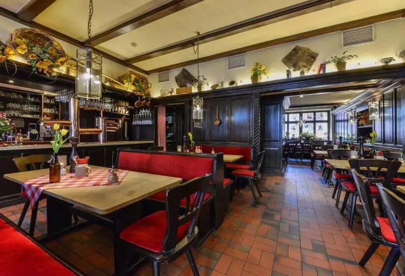 هتل Gasthaus Pillhofer