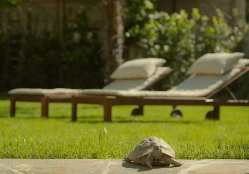 Отель Relais La Corte Di Cloris