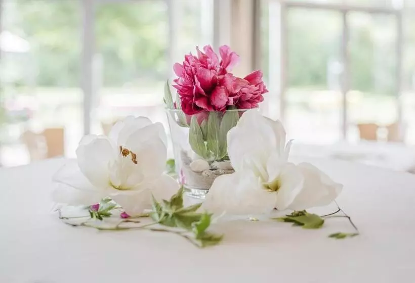 בית מלון כפרי Schacht Iii/abz