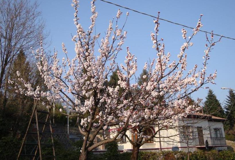 Sporting Hotel Ragno D Oro