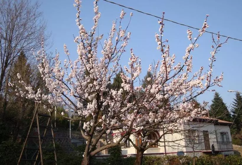 Sporting Hotel Ragno D Oro