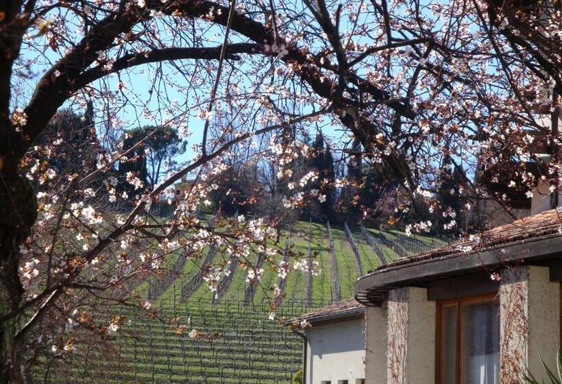 Sporting Hotel Ragno D Oro