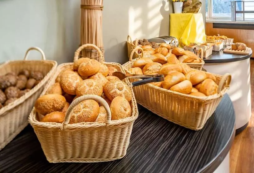 Ahorn Berghotel Friedrichroda