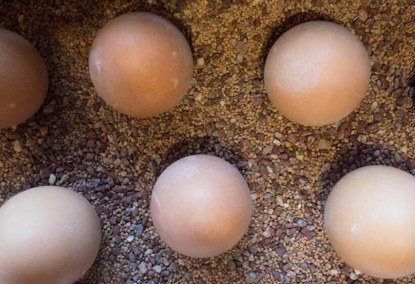 Отель Am Kappelberg