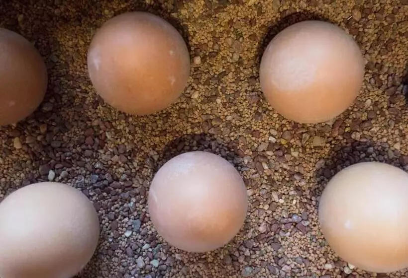 Отель Am Kappelberg