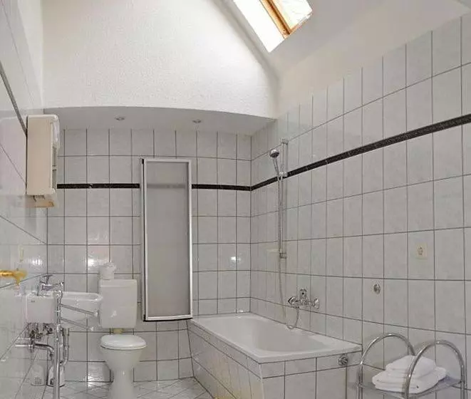 Отель Pension Am Park