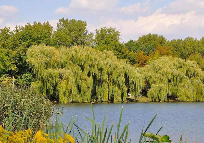 فندق Pension Am Park