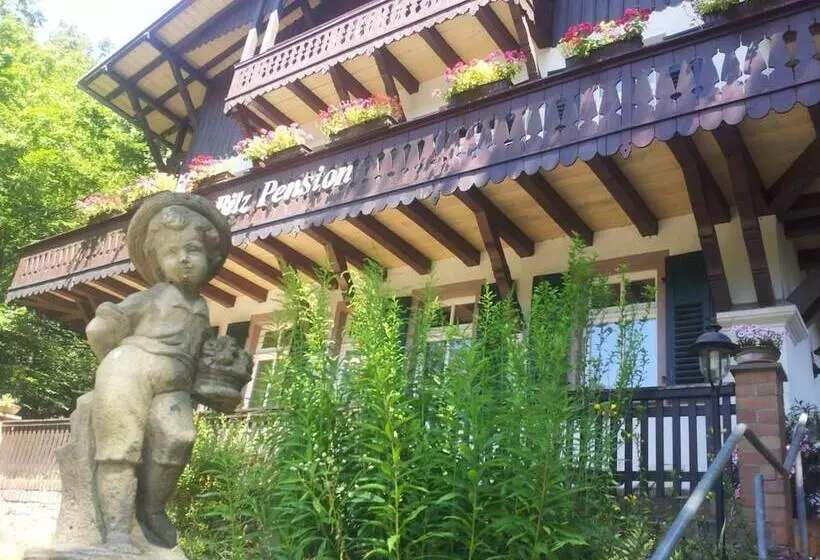 هتل Bilz Pension