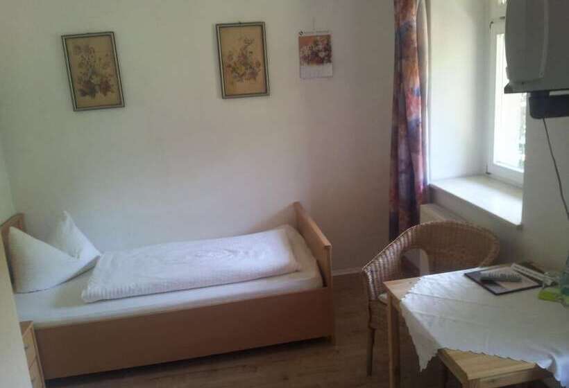 ホテル Bilz Pension