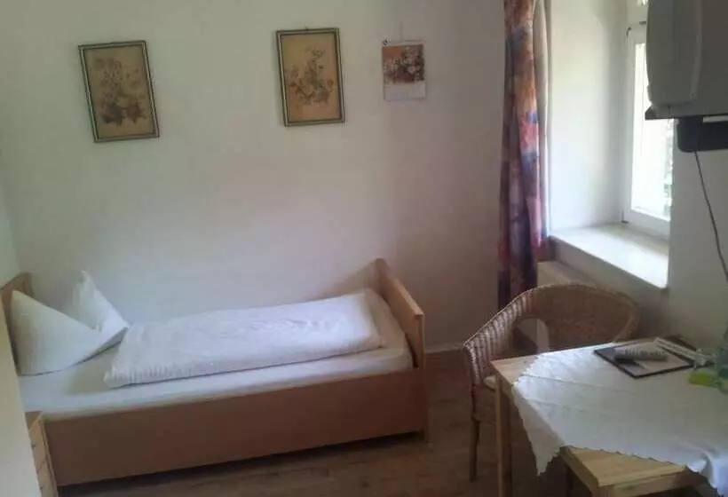 هتل Bilz Pension