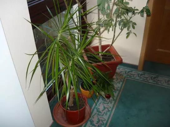 Отель Erzgebirge