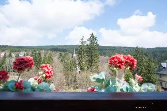 Szálloda Ferienanlage Zum Wildbach Gmbh