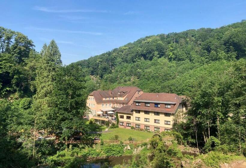 Hotel Fuchs'sche Mühle