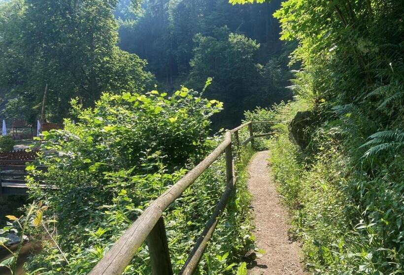 Hotel Fuchs'sche Mühle