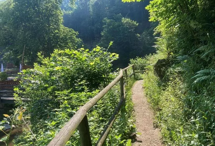 酒店 Fuchs'sche Mühle