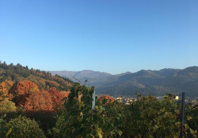 ホテル Gasthaus Hirschenstube & Gastehaus Gehri