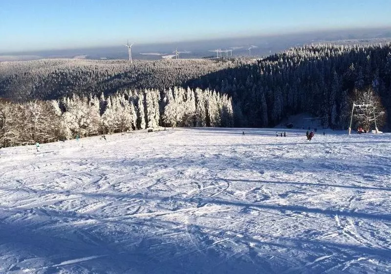 Отель Gasthaus Hirschenstube & Gastehaus Gehri