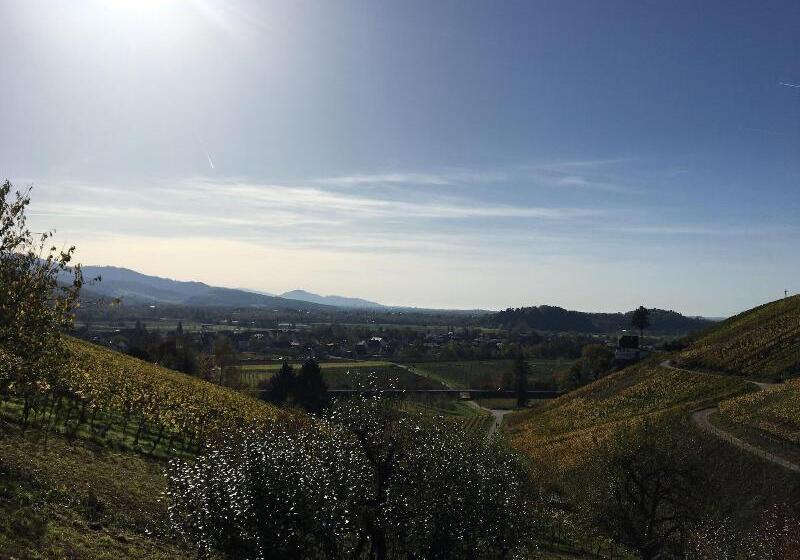 ホテル Gasthaus Hirschenstube & Gastehaus Gehri