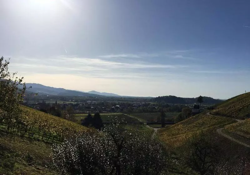 Отель Gasthaus Hirschenstube & Gastehaus Gehri