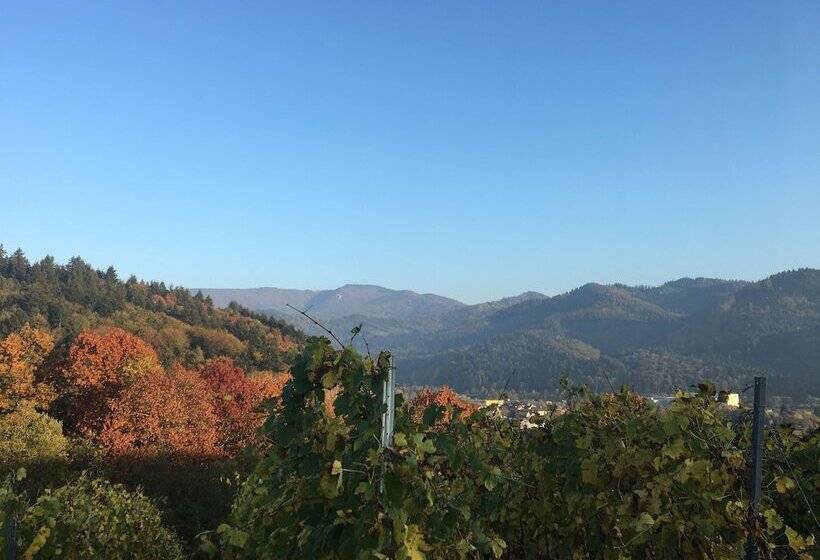 ホテル Gasthaus Hirschenstube & Gastehaus Gehri