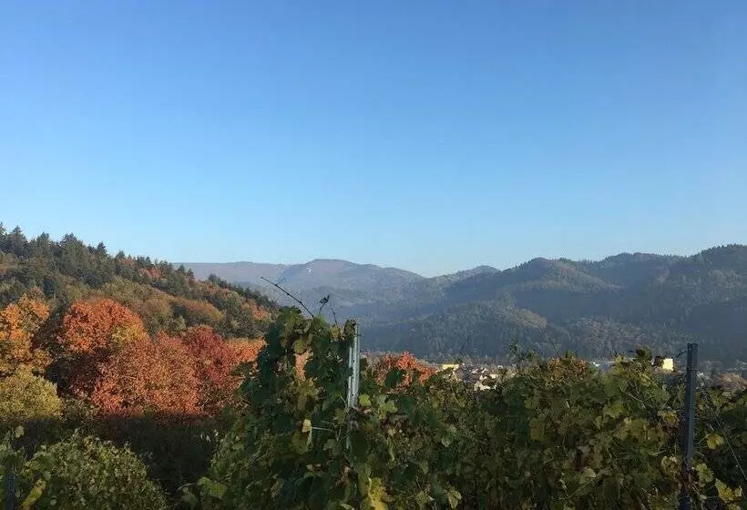 Отель Gasthaus Hirschenstube & Gastehaus Gehri