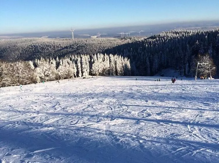 Отель Gasthaus Hirschenstube & Gastehaus Gehri