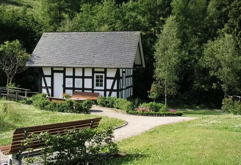 Отель Hanses Bräutigam