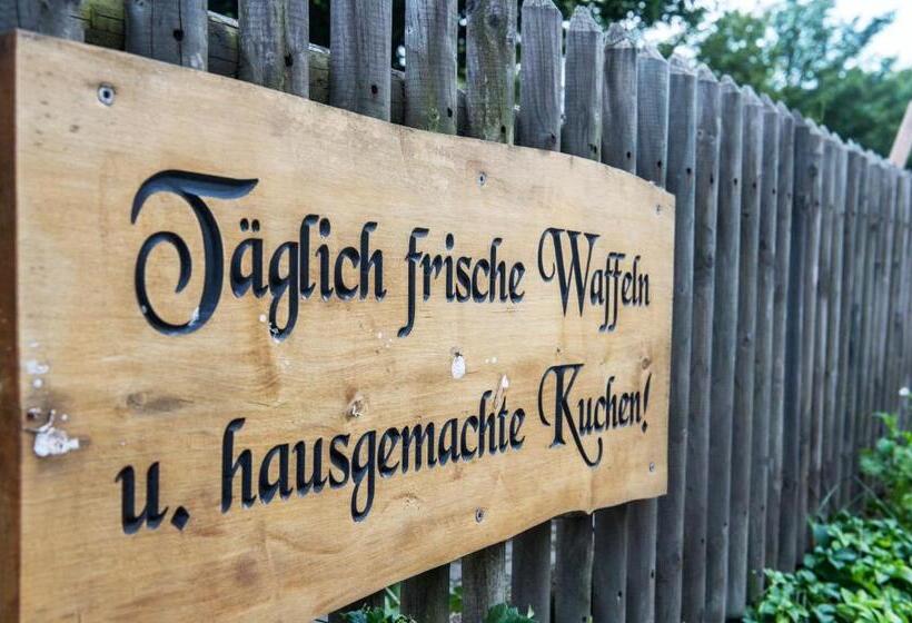 ホテル Hanses Bräutigam